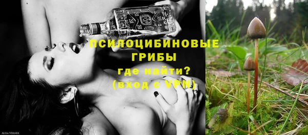 трава Балахна